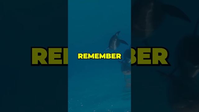 Dive into Dolphin Magic: Quick Facts in 60 Seconds #dolphins смотреть онлайн