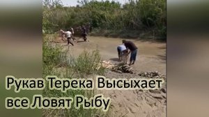 Рукав Терека Высыхает все Ловят Рыбу Я в Шоке Рыбалка в Дагестане Рыбалка На Тереке