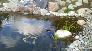 Пруд с каскадным водопадиком