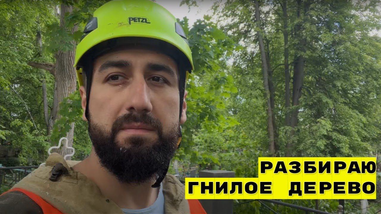 Разбираю гнилое дерево