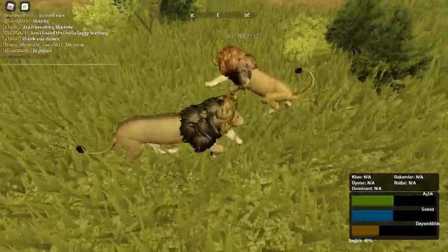 Roblox - Wild Savannah - Nice to see i beat vs lions смотреть онлайн