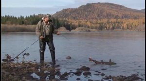 Хамсара золотая. Способы ловли хариуса, ленка и тайменя. HD