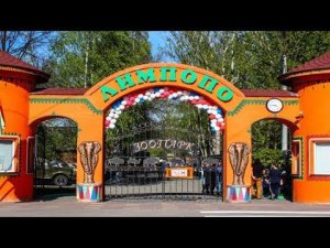 Лимпопо. Сормовский парк.2021г