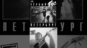 Чёрный пёс Петербург. ДДТ. Отрывок на гитаре.
