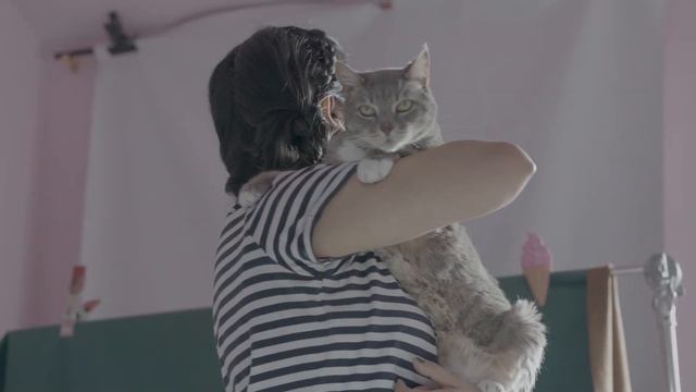 Reseña Sony A7 IV смотреть онлайн