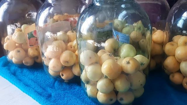 #САМЫЙ#ВКУСНЫЙ #ЯБЛОЧНЫЙ#КОМПОТ?????? смотреть онлайн