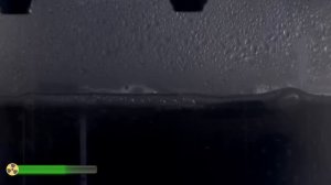 Лесные Животные, Которых Лучше Не Трогать