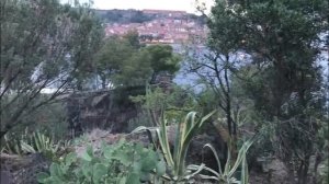 Лена Хеппи затмила красотой родственницу. Селим хочет страстную. Lena Happy