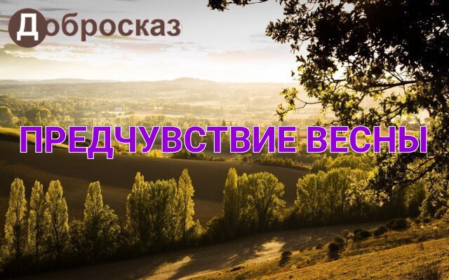 Предчувствие весны (плейлист "Добросказ")