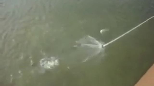 Рыбалка на кастинговую сеть парашют смотреть онлайн