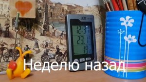 Как увлажнить воздух в квартире без увлажнителя