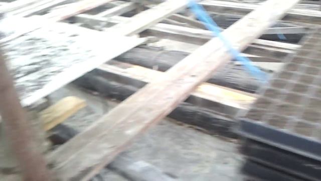 сеем капусту  16 декабря смотреть онлайн