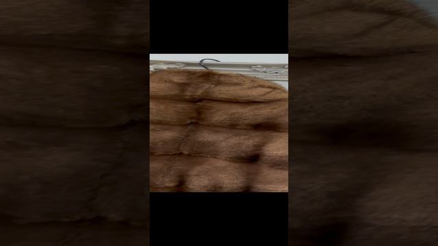 2023-02-11 смотреть онлайн