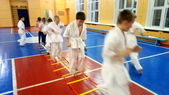 СФП #12 Скоростная лестница - Координационная лестница в Кёкусинкай карате. Упражнение для детей смотреть онлайн