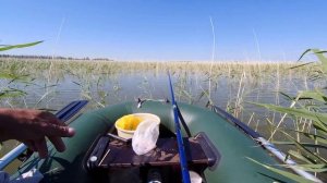 Ловля карася С лодки на поплавочную удочку