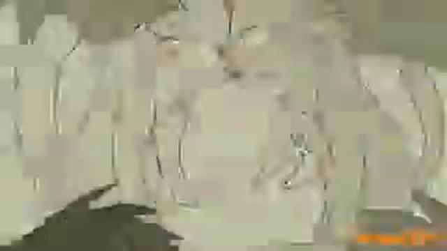 Любовь Любовь любовь Любовь любовь коты воители смотреть онлайн