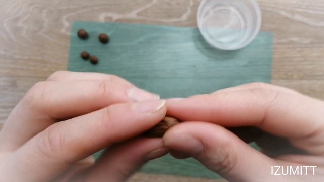 БУСИНЫ под дерево. ЛЕПКА. Холодный фарфор.
