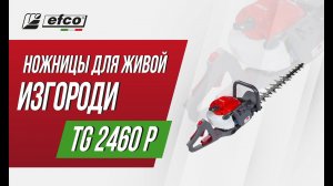 Бензоножницы (кусторез) EFCO TG 2460 P - обзор, характеристики, применение