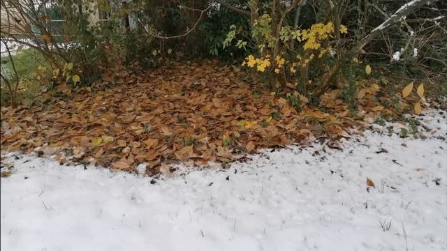 Часть 1. ???Чтобы не было мучительно больно??? Христианский рассказ. Жизненные истории. смотреть онлайн