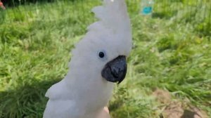 Работать ещё не готовы,а отдыхать - всегда!)