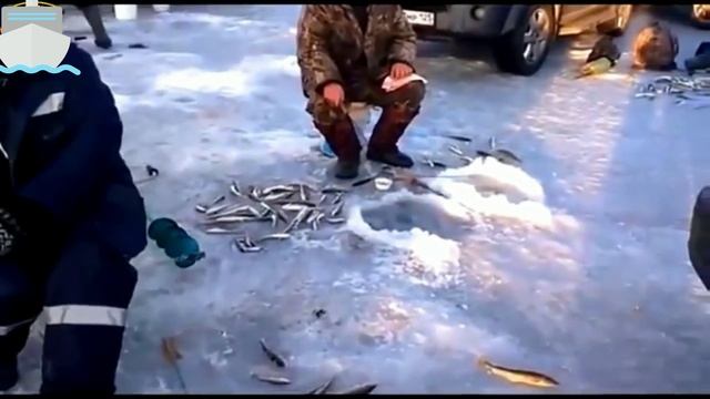 Приколы на рыбалке 2020 года/Зимняя рыбалка смешное видео 2020