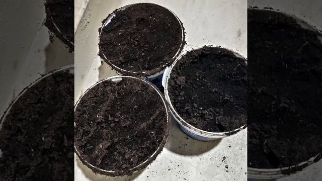 ГУМАТ КАЛИЯ СУФЛЕР  Что такое гуматы Для чего нужен гумат калия