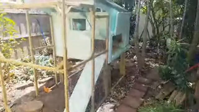 My Figs Are Going Off! смотреть онлайн