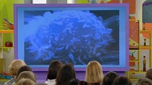 СРАВНЕНИЕ АСИТ И АЛТ (АУТОЛИМФОЦИТОТЕРАПИИ) ПРИ ЛЕЧЕНИИ АЛЛЕРГИИ (О СAМОМ ГЛAВНОМ 09.03.2016)