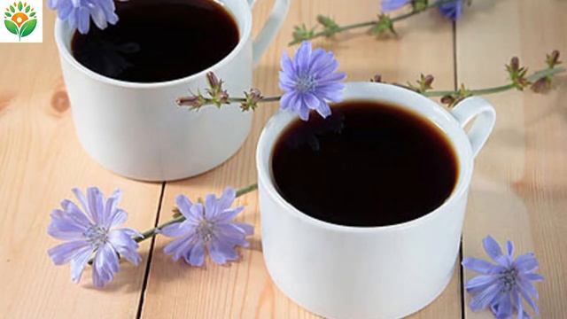 Вот Что Творит Цикорий, Если Пить Каждый День! Польза и Вред Цикория | Организм Человека смотреть онлайн