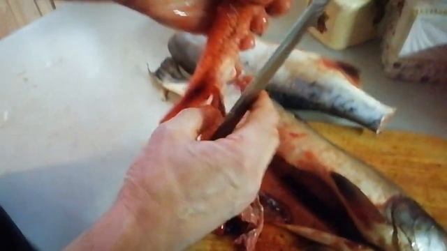 Икра горбуши, светофор ??? смотреть онлайн