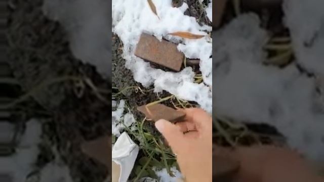 Не до конца вывезенные отходы по улице Северной в Чехове