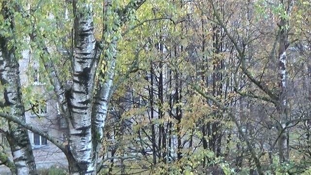 Обзор Риги.Югла.