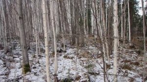 Ориентирование по компасу. Часть 1 - Предисловие