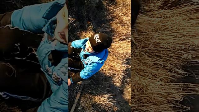 Похороны смотреть онлайн