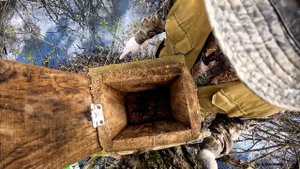 Чистка скворечников. Когда и зачем?