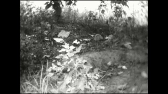 танечка и ванечка смотреть онлайн