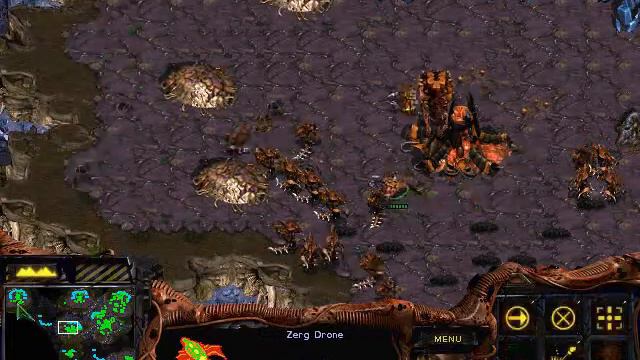 StarCraft 1,1 zerg VS 7 random at big game hunters,2012 07 28 game1b,2/2 смотреть онлайн
