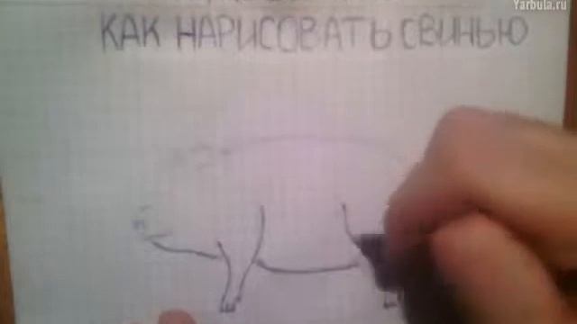 Как нарисовать свинью смотреть онлайн
