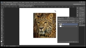 Как закруглить изображение в фотошопе и сделать круглые картинки