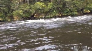 2016 сплав на гребных лодках