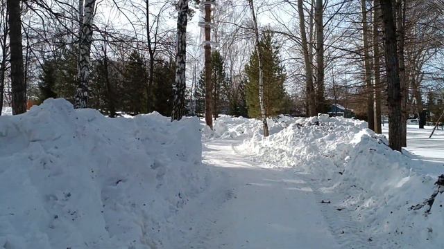 29 февраля 2024 г. Гуляю, отвечаю на вопрос зрительницы. смотреть онлайн