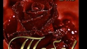 С ДНЕМ РОЖДЕНИЯ   ГАЛА !!!