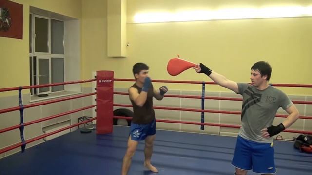 тайский бокс муай тай клуб барс смотреть онлайн