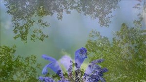 Anne-Sophie Versnaeyen Gabriel Saban Philippe Briand (The Path of Silence)