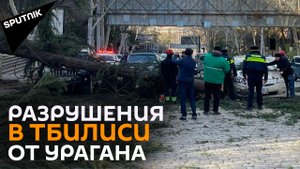 Ураганный ветер повалил огромные деревья в центре Тбилиси