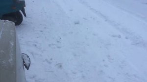 Мотороллер Электрон