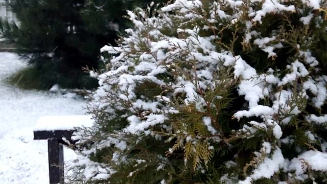 АСМР на русском. Новогодние прогулки Звуки природы и дуновение ветра. ASMR whisper смотреть онлайн