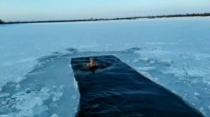 ? Слава МОРЖАМ! #Моржи  #Нефтеюганск