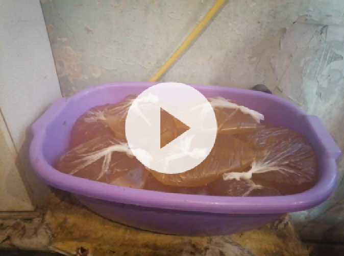 закорм пчел в зиму подробный обзор смотреть онлайн