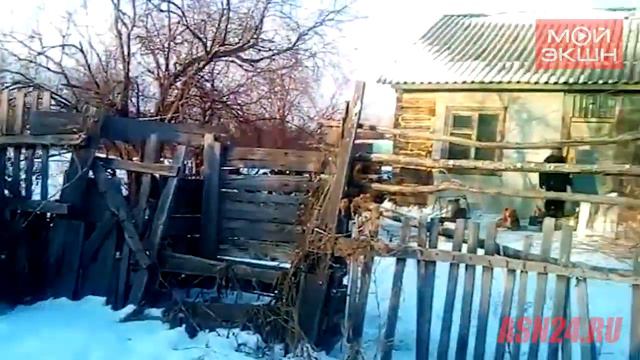 В Михайловском районе лиса ворвалась во двор местного жителя смотреть онлайн